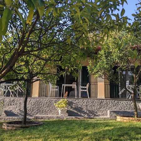 Villa Eleni - Studios Liapades Exteriör bild