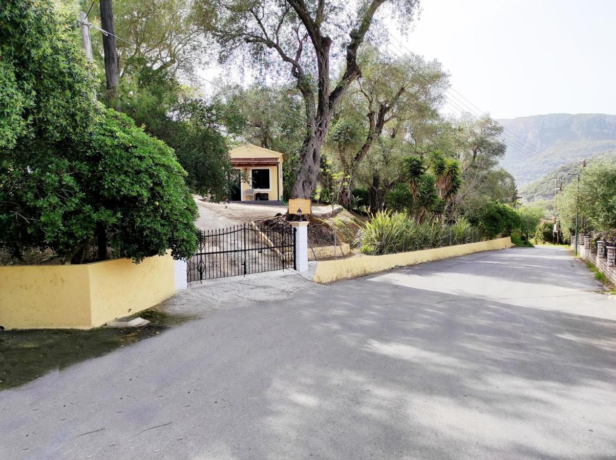 Villa Eleni - Studios Liapades Exteriör bild