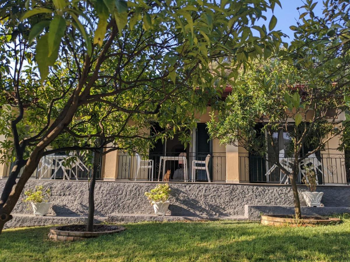 Villa Eleni - Studios Liapades Exteriör bild