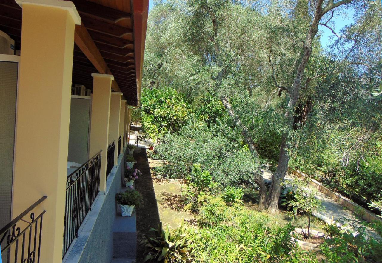 Villa Eleni - Studios Liapades Exteriör bild